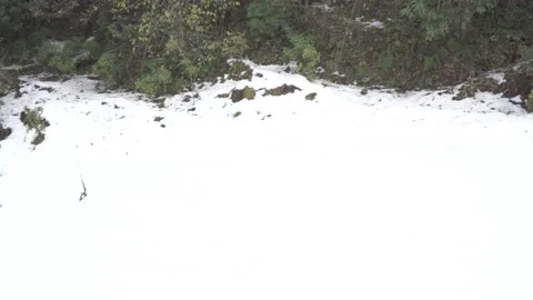 Young boy playing with snow Stock Footage 131248558