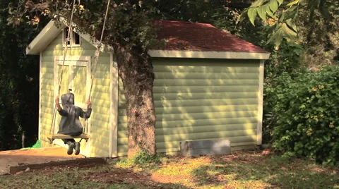 Young Boy Playing on a Swing Stock Footage 44431430