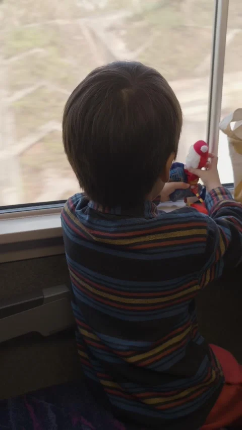 Young Boy Playing with Toys while Enjoying Train Ride Through Rural South Chi Stock Footage 329635424