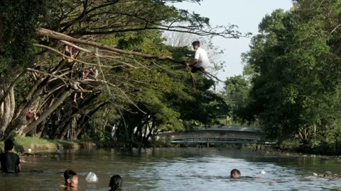 Young boy playing with tree branch above the polluted river Stock Footage 132450891