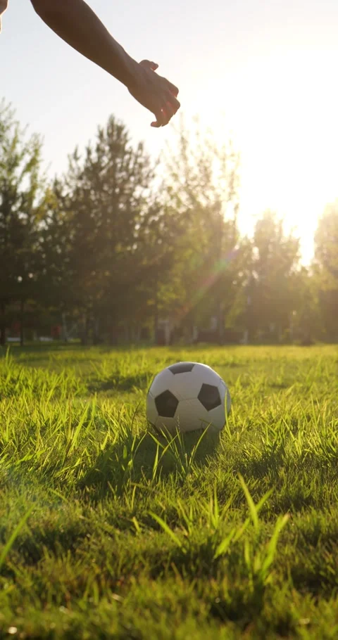 Young boy plays soccer on grassy field at golden hour. Child dribbles football Stock Footage 346691012