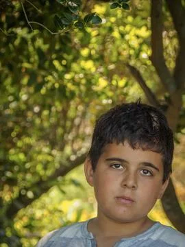 Young boy portrait Stock Photos