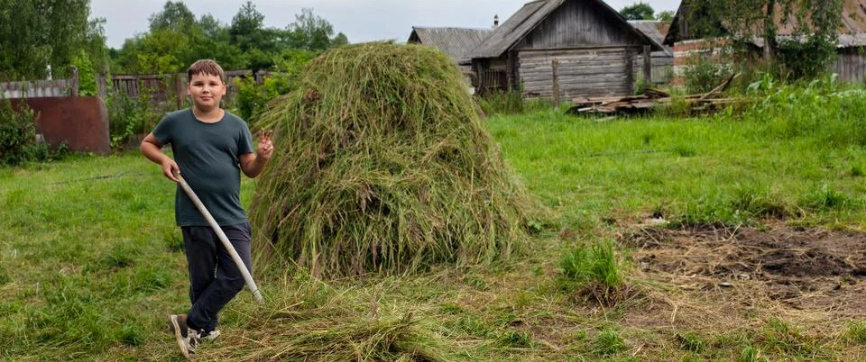 Young boy posing with a hay fork next to a large pile of freshly cut grass in a Stock Photos