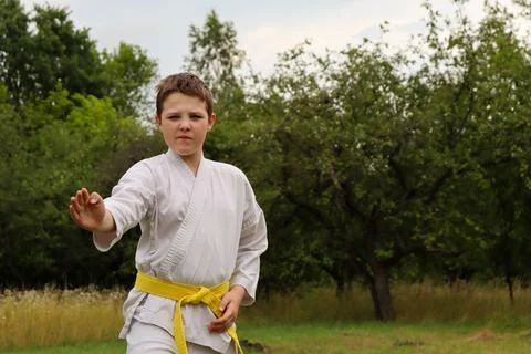 Young boy practices karate moves outdoors in a grassy area during daytime Stock Photos