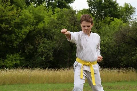 Young boy practices karate moves in a grassy area near trees on a warm afternoon Fotos de archivo