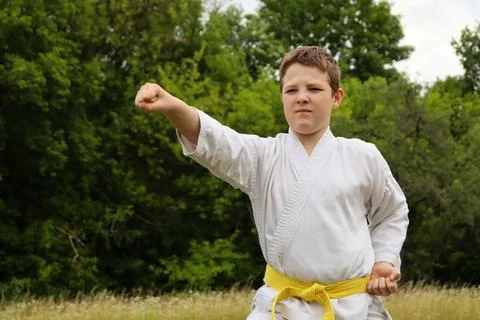 Young boy practices karate stance in a field during daytime Photos