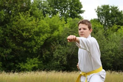 Young boy practicing karate in a green field on a sunny day Photos