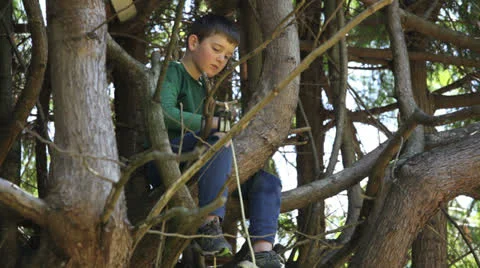 Young boy pulling a bucket up into a tree Video stock 22919732