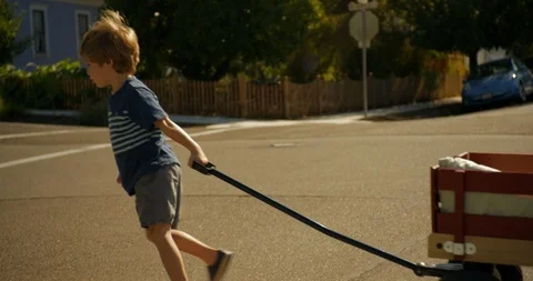 Young boy pulling his baby brother along in a cart Stock-Footage 88372501