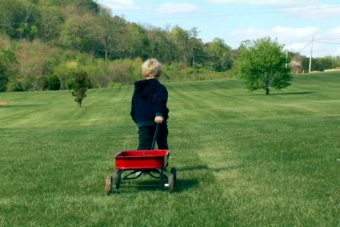 Young Boy Pulling a Wagon Stock Footage 371679