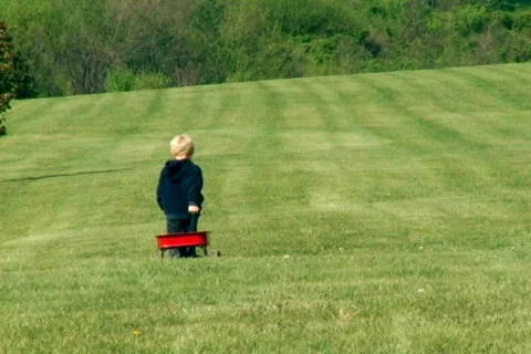 Young Boy Pulling a Wagon Stock Footage 371681