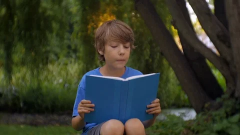 Young Boy Reading a Book in a Park Stock Footage 70141821
