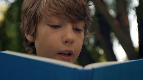 Young Boy Reading a Book in a Park Stock Footage 70151584