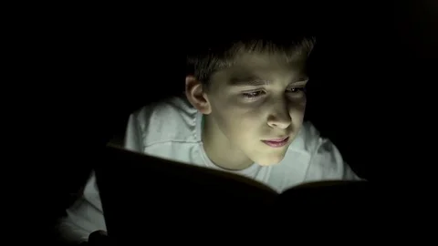 Young boy reading a book  using a torch light Stock Footage 81272797