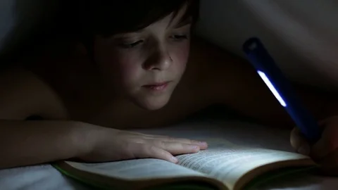Young boy reading an interesting book at night Stock Footage 77716658