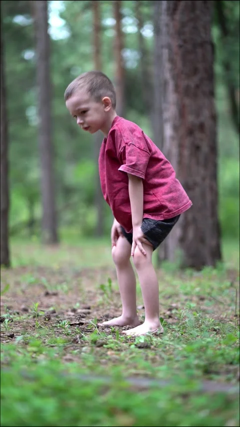 Young boy in red shirt squats in lush pine forest, collecting pinecones  Stock Footage 338415214