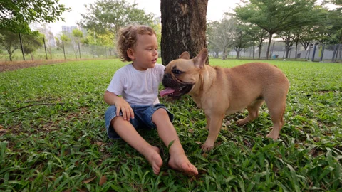 Young boy rest after game, his friend Frenchie stand near panting Stock Footage 310528702