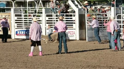 +Bust Boy Stock Videos – Royalty-Free HD & 4K Videos