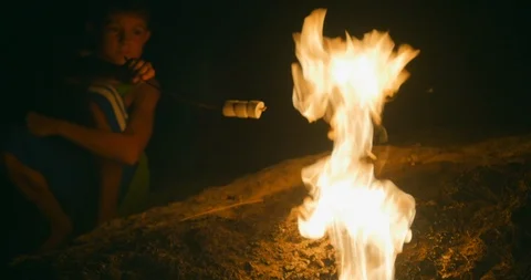 Young boy roast marshmallow on fire Stock Footage 94885222