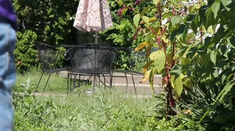 Young boy running Video stock 8517499