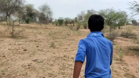 A young boy running in forest, slow motion footage, backside view Stock Footage 157704006