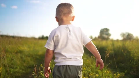 Young boy running through a field. A child is walking outdoors. Sunlight and Video stock 316037505