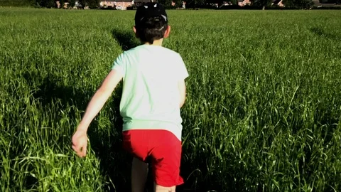 Young boy running through long summer grass in slow motion Vídeo Stock 112099957