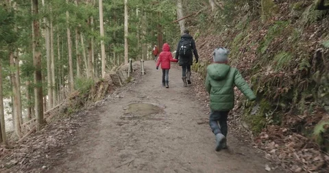 Young boy runs to catch up with his sister and mother on a forest trail Video stock 108114898