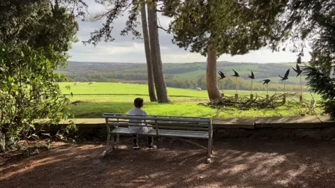 Young boy sat on a garden bench looking out over the countryside surrounded.. Stockbeeldmateriaal 236375291