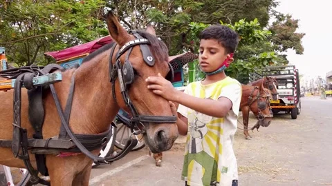 An Young boy seen caressing his Horse in Mysore, India. Stock Footage 153961185