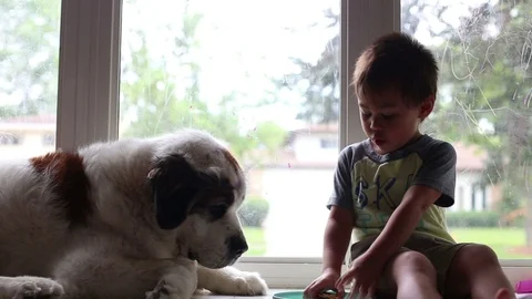 Young boy sharing snack with dog Видео 93692966