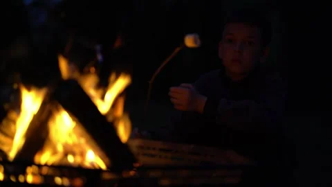 A young boy sits by the campfire roasting a marshmallow at night.  Stock Footage 338416033