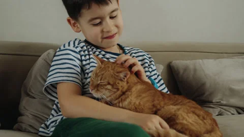 Young boy sits on couch with orange cat, sharing comfort and a smile Video stock 274693631