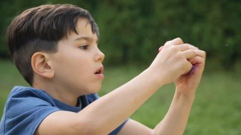 Young boy sitting in backyard and playing with squishy toy frog Stock Footage 119991317