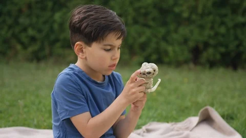 Young boy sitting on blanket in backyard and playing with toy dinosaur Vídeos de archivo 119990986