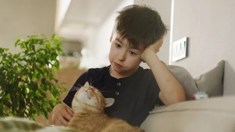 A young boy sitting on a couch and interacting with a feline companion Stock Footage 275824158
