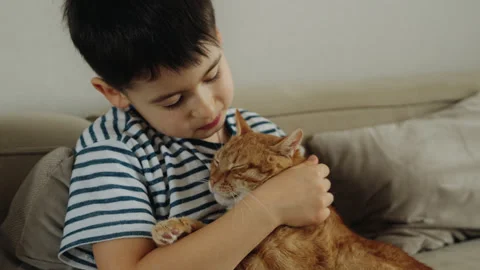 A young boy is sitting on a couch holding an orange cat Stock Footage 274693680