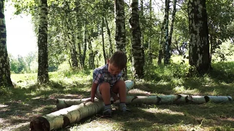 Young boy sitting in the forest meadow Stock Footage 72789839