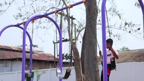 Young Boy Sitting on Playground Swing at Neighborhood Park Stock-Footage 334774424