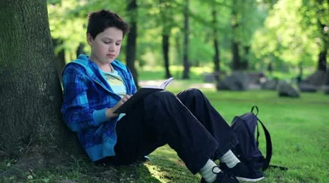 Young boy sitting by the tree and reading book in the park HD Video stock 10986281