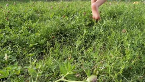 Young boy skillfully kicking a yellow soccer ball on a grassy field Vidéo 292015364