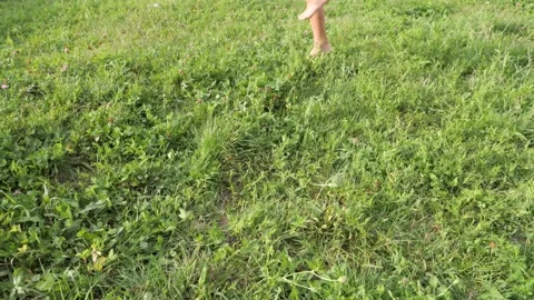 Young boy skillfully kicking a yellow soccer ball on a grassy field Vidéo 292015380