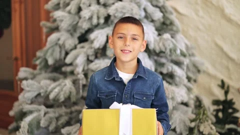 Young Boy Smiles With Gift Box Before Christmas Tree Stock-Footage 319696150