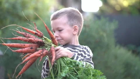 Young boy smiling while holding a large bunch of freshly harvested dirty carrots 库存影片 343685188
