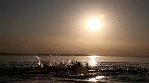 A young boy splashes water at sunset Stock Footage 66350784