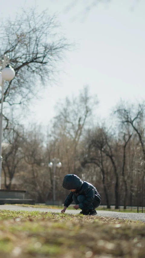 Young Boy Squatting and Observing a Stick in a Peaceful Urban Park Stock Footage 309712725