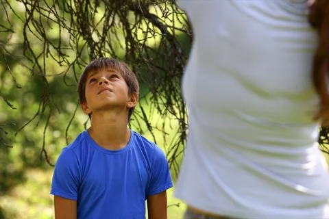 Young boy standing beneath tree branches and looking upward while exploring a Stock Photos