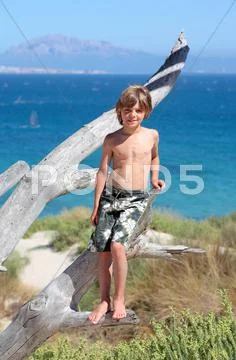 Young boy standing in tree on a sunny beach Stock Photos