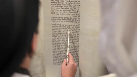 Young boy studying Torah Stock Footage 229651072