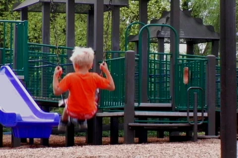 Young Boy on a Swing Stock Footage 371678